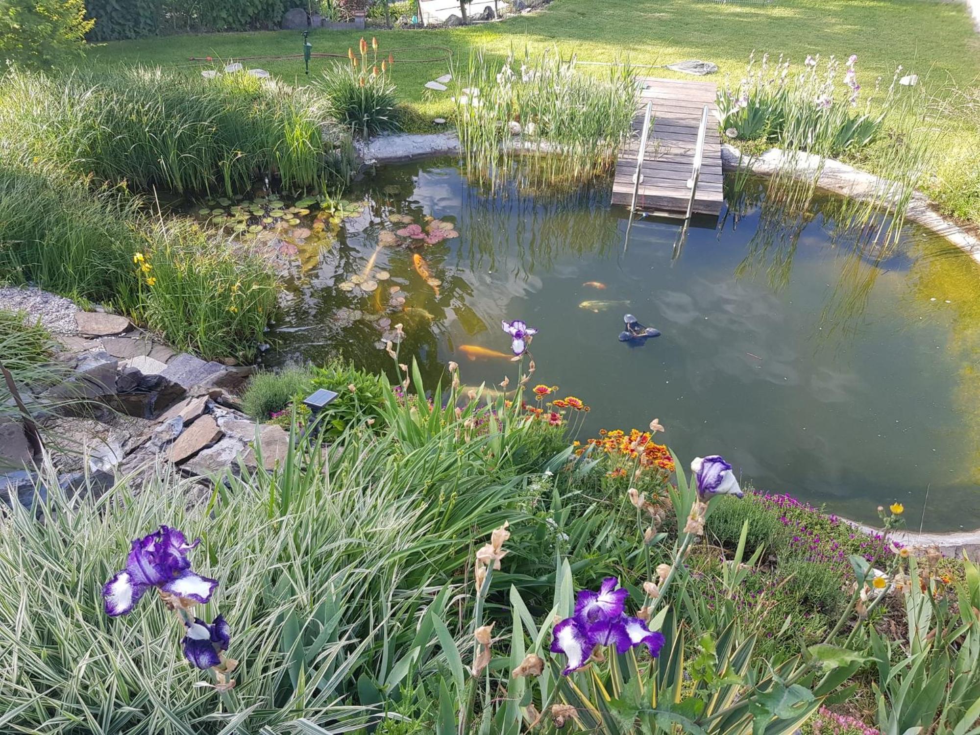 Wohlfuehlen Am Gartenteich Oberzissen Luaran gambar